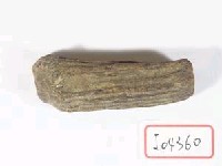 羌角藏品圖，第1張